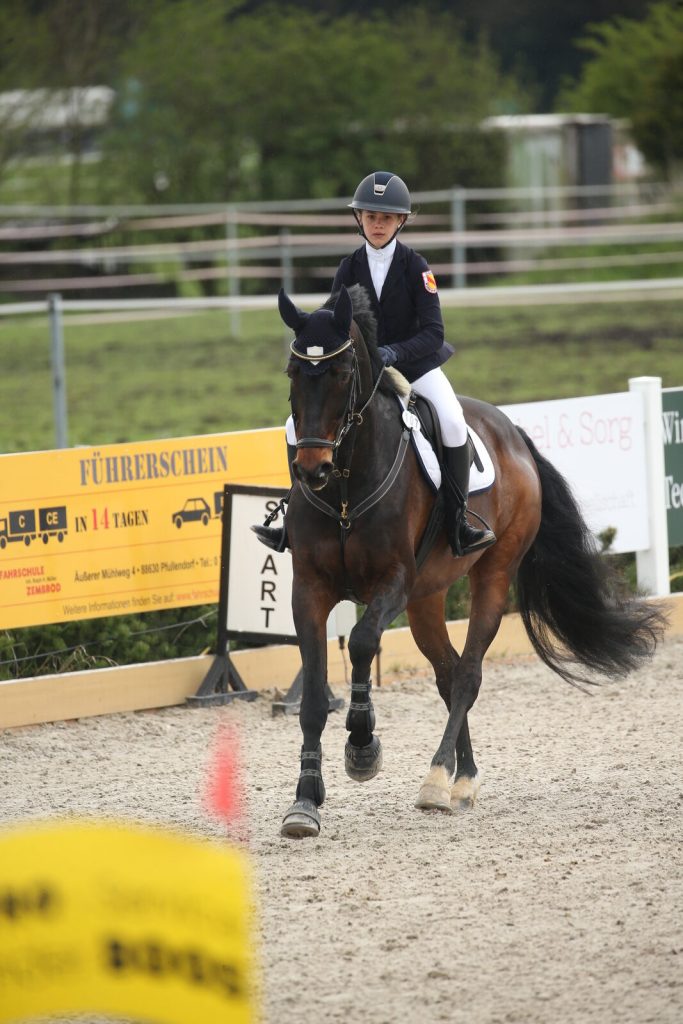 2019_NathanCici_Boll_001