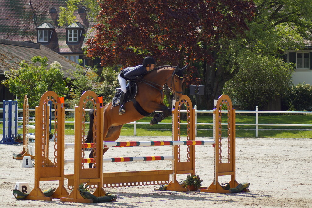 Susi_Janine_ARC_2019_02