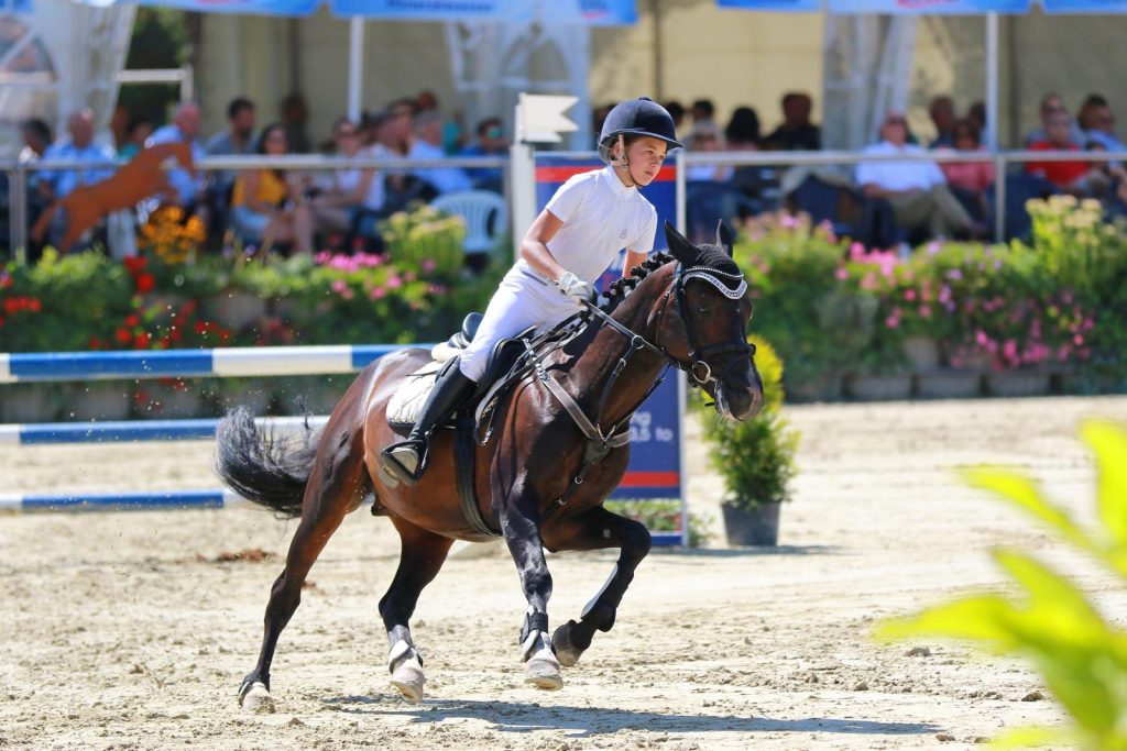 WhatsApp-Image-2019-02-09-at-11.27.06