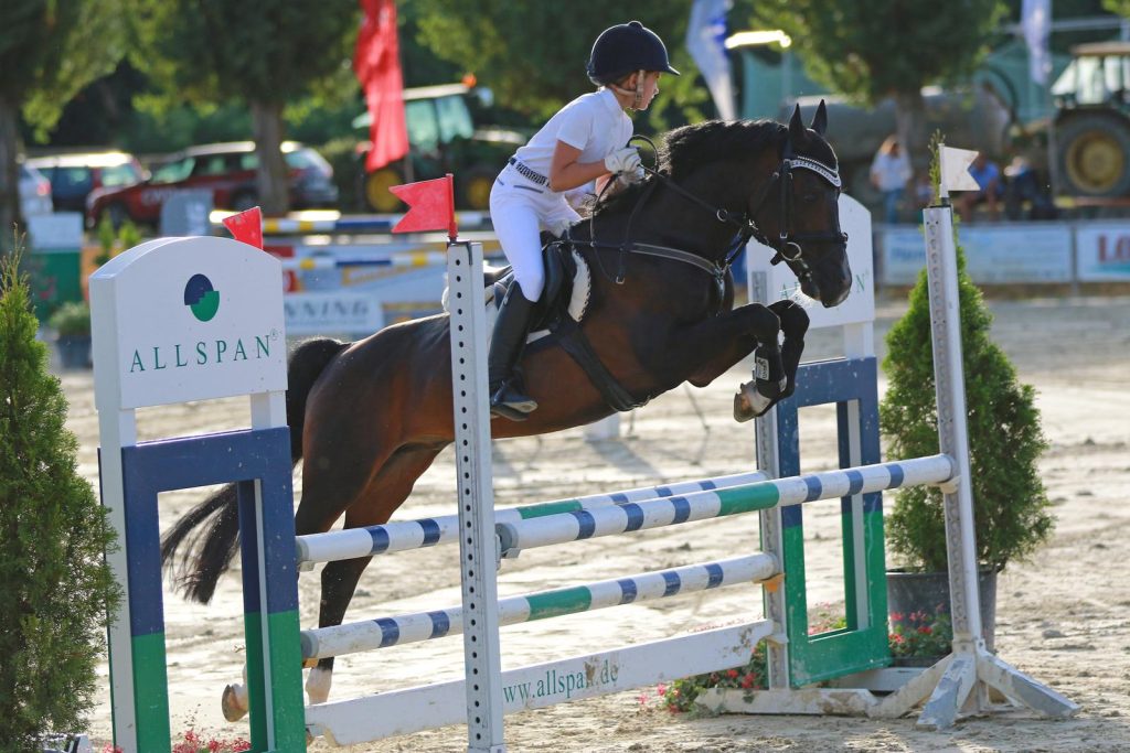 WhatsApp-Image-2019-02-09-at-11.27.08-(1)