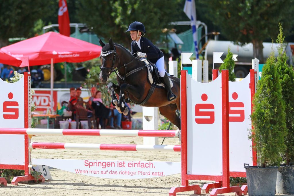 WhatsApp-Image-2019-02-09-at-11.27.09-(1)