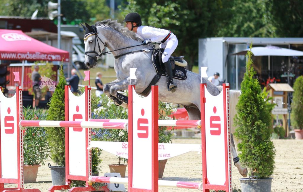 WhatsApp-Image-2019-02-09-at-11.27.09