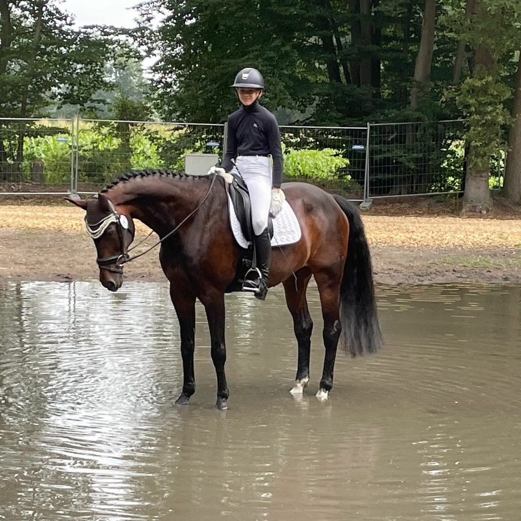 e3ce945a-e0de-43f7-805f-96cba55b3850